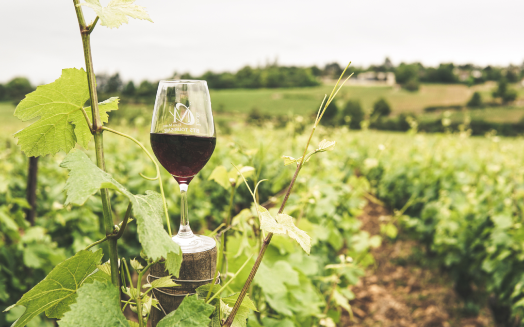 Comment expédier du vin à l’international ?